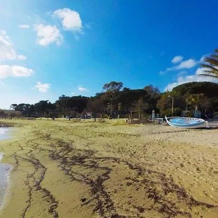 Apartament Avec Terrasse, Parking, A 500m De La - - Fr-1-251-66 Le Lavandou